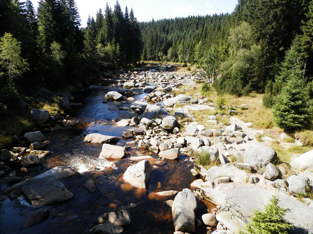 Penzion Podlesi Kořenov Exterior foto