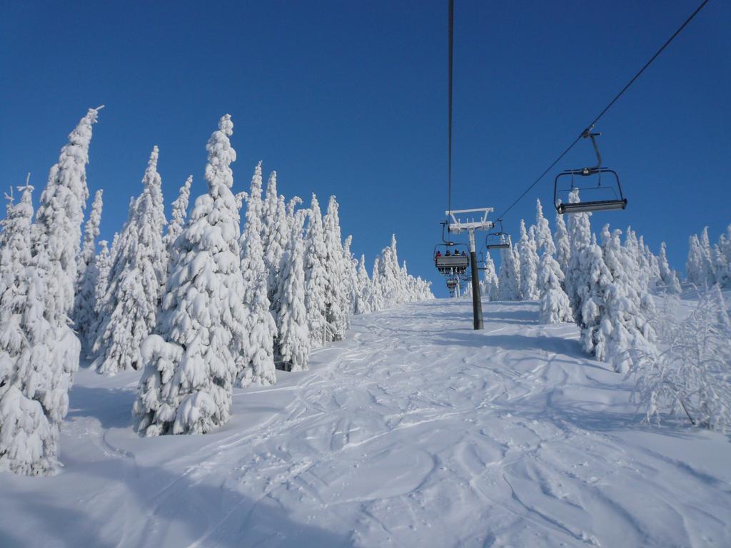 Penzion Podlesi Kořenov Exterior foto