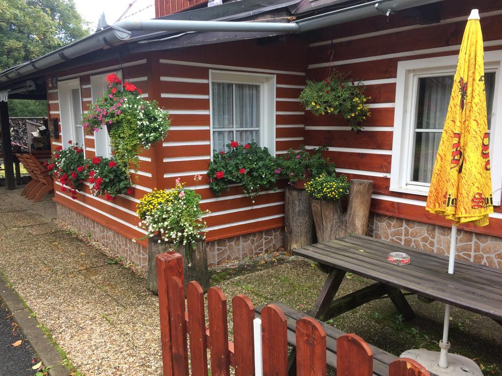 Penzion Podlesi Kořenov Exterior foto